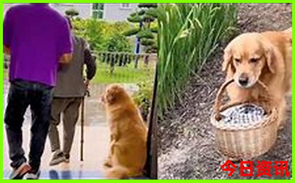 黑龙江旅游必去景点